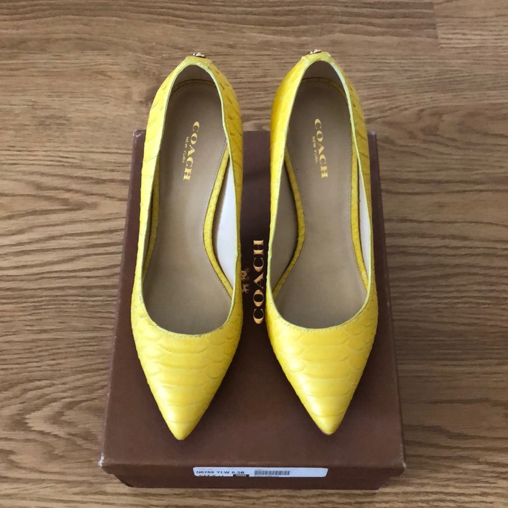 Pumps